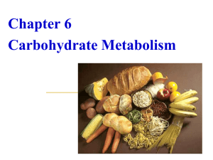 Lecture 7 Citric acid cycle