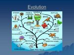 Evolution notes