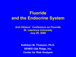 Fluoride and the Endocrine System 2nd Citizens` Conference on