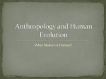 Anthropology and Human Evolution