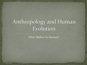 Anthropology and Human Evolution