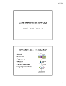 Signal Transduction Pathways Terms for Signal Transduction
