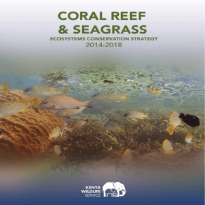 CORAL REEF AND SEAGRASS ECOSYSTEMS CONSERVATION