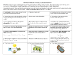 Concept Map – Photosynthesis and Cellular Respiration