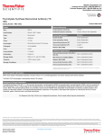 Thymidylate Synthase Monoclonal Antibody (TS 106)