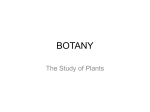 botany - Fluvanna Master Gardeners
