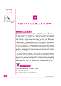 Lesson 65. Organ transplantation