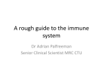 A rough guide to the immune system - UK-CAB