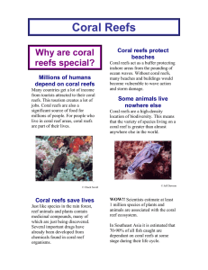 Coral Reefs - IOSEA Turtles