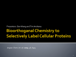 Bioorthoganal Chemistry to Selectively Label Cellular Proteins