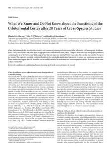 What We Know and Do Not Know about the Functions of the