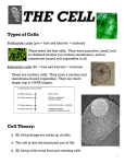 THE CELL - Kevan Kruger