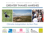 presentation - The Greater Thames Marshes Nature Improvement Area