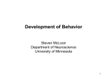 Development of Behavior - McLoon Lab