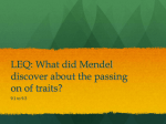 LEQ: What did Mendel discover about the patterns of inheritance?