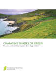 Changing Shades of Green: The environmental and cultural impacts