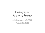 Radiographic Anatomy Review