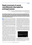 Rapid movement of axonal neurofilaments interrupted by prolonged
