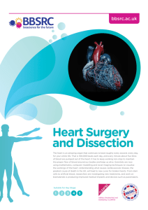 Heart Surgery and Dissection