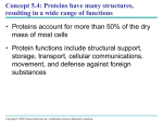 Protein Notes 5.4