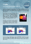 Regulatory T