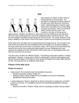 Phases of the Gait Cycle