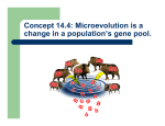 Concept 14.4: Microevolution is a change in a population`s gene pool.
