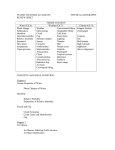 unit 3 review sheet - verbetensocialstudies