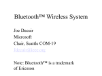 Bluetooth Wireless System