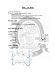 NUCLEIC ACID