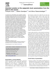 Inherited variation at the epigenetic level: paramutation from the