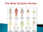 Organs of the Immune System