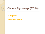 Griggs Chapter 2: Neuroscience