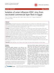 Isolation of avian influenza H5N1 virus from vaccinated commercial