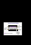 Module 3: Vacuum Fluorescent Displays