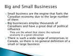 Big and Small Businesses