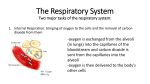 The Respiratory System Two major tasks of the respiratory system:
