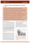 Ozone: a threat to food security in South Asia