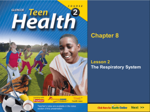 Respiratory System