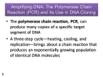 Amplifying DNA: The Polymerase Chain Reaction (PCR) and Its Use