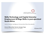 Skills, Technology and Capital Intensity