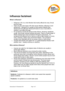 Influenza factsheet