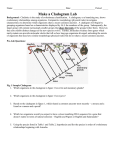 Cladogram Lab