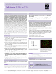 Calcitonin (F-13): sc-9174