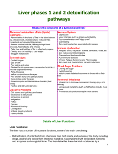 Liver phases 1 and 2 detoxification pathways