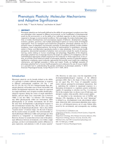 Phenotypic Plasticity: Molecular Mechanisms and