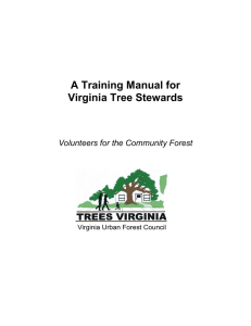 A Training Manual for - McLean Trees Foundation