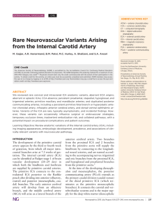 Rare Neurovascular Variants Arising from the Internal Carotid Artery