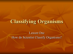 Classifying Organisms