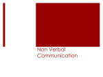 Non Verbal Communication